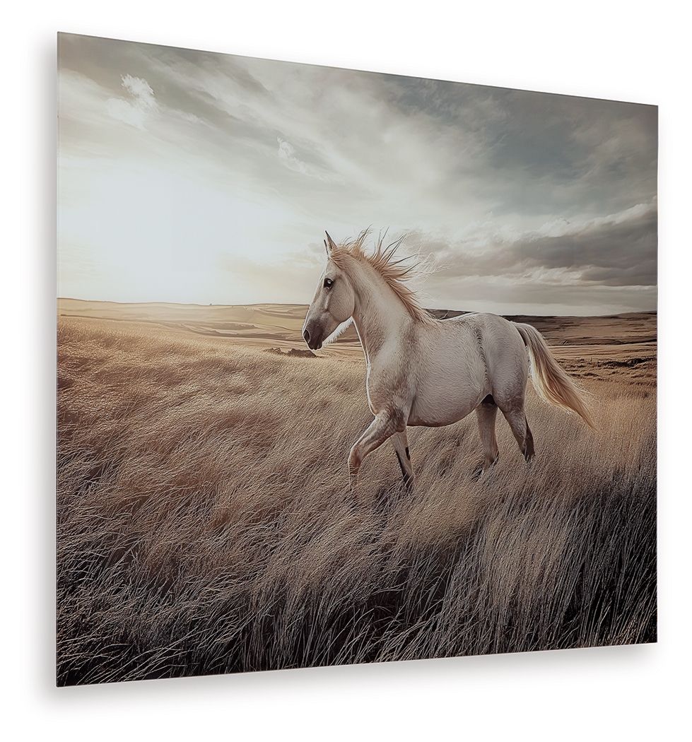 Errolville - Multi - Wall Art
