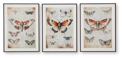 Jossletts - Orange / Black / Ivory - Wall Art Set (Set of 3)